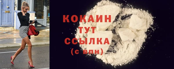 гашик Бородино