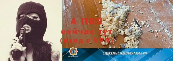 гашик Бородино